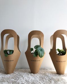 three brown vases with plants in them sitting on a white rug next to a wall