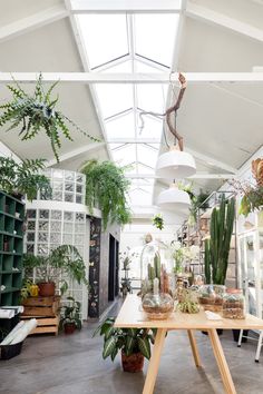 a room filled with lots of plants and potted plants on top of wooden tables