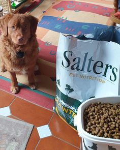 a dog sitting on the floor next to a bag of cat food and a bowl of water