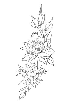 a line drawing of flowers on a white background