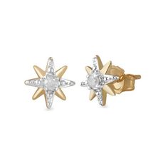 10K YG 1/10CTTW DIA STAR ER w/ 1/20 14K GF PO/BU Size: one size. Color: Metal Type. Gender: female. Age Group: adult. The North Star, Star Studs, Gold Star, North Star, Gold Stars, 1 Carat, Diamond Earrings Studs, 10k Gold, To Shine