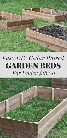 Raised Vegetable Garden, Bed Tutorial, Raised Garden Beds Diy Vegetables, Cedar Raised Garden Beds, Diy Garden Bed, Vegetable Patch, Building Raised Garden Beds, Cedar Garden