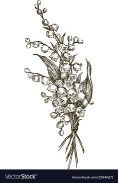 a bouquet of lilies on a white background hand drawn illustration in vintage engraving style