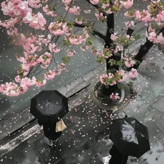 two people with umbrellas are walking down the street in the rain under cherry blossom trees