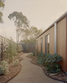 a walkway between two buildings with trees in the back ground and bushes on either side