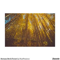 an autumn forest with yellow leaves on the trees