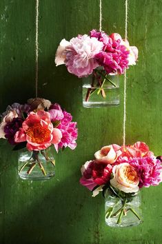 three glass vases with flowers hanging from strings on a green painted wall, one filled with pink and white peonies