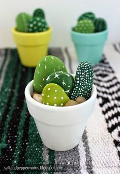 two small pots with green and yellow cacti in them