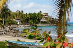 a boat is sitting on the beach next to some palm trees and water with houses in the background