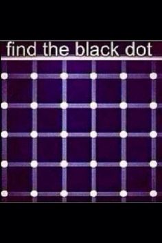 the words find the black dot are written in white letters on a dark purple background