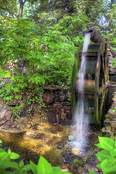 a water wheel in the middle of a forest with lots of green leaves around it