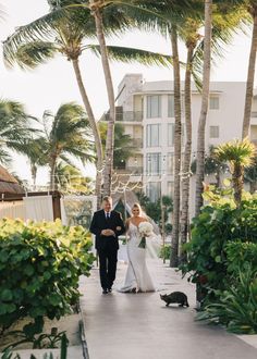 a bride and groom walking down the aisle with their dog in front of some palm trees