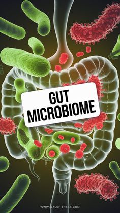 gut microbiome illustration Probiotics Prebiotics, Heal Leaky Gut, Health Smoothie Recipes, Probiotic Benefits, Gaps Diet