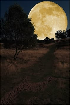 a painting of a full moon in the sky over a field with trees and grass