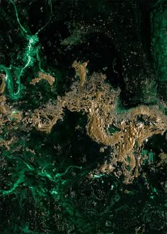 the earth is covered in green and brown algae, as well as other things that can be seen from space