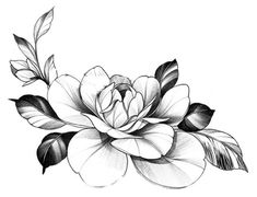 a black and white drawing of a flower