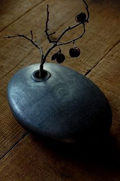 a small plant in a black vase on a wooden table with no leaves or branches