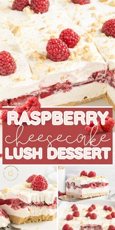 raspberry cheesecake lush dessert with fresh raspberries on top and bottom