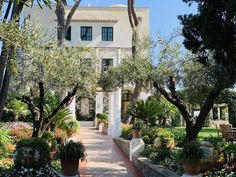 an outdoor garden with potted plants and trees in front of a large white building