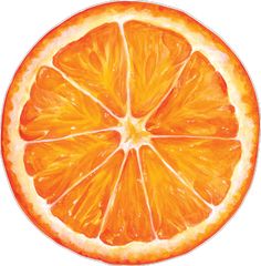 an orange cut in half on a white background