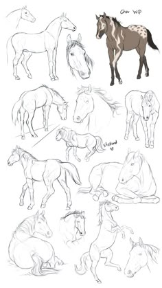 some horses are standing and laying down in this drawing lesson for beginners to learn how to draw them