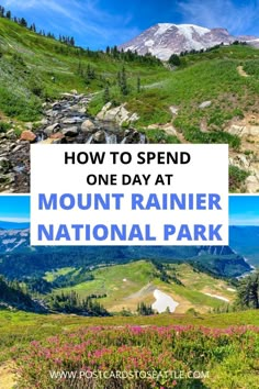 the mountains with text overlaying how to plan the perfect day trip to mount rainier