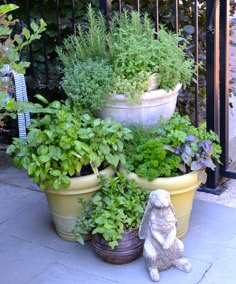 a stuffed animal sitting next to two large potted planters filled with green plants