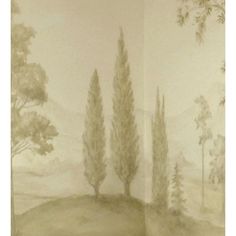 a drawing of some trees on a wall