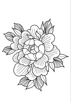 a black and white drawing of flowers with leaves on the top, in an outline style