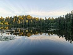 a lake surrounded by trees and water with lily pads on the surface in front of it