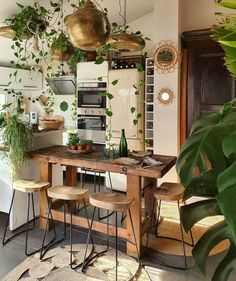 a kitchen with lots of plants hanging from the ceiling and wooden tables in front of it