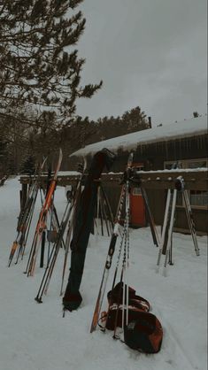 there are many skis and poles in the snow