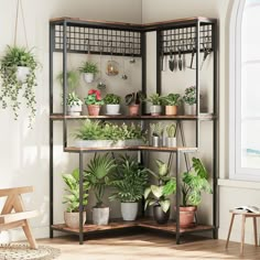 a shelf filled with potted plants in front of a wall mounted planter next to a window