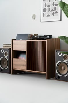 two speakers and a record player are sitting on the floor in front of a plant