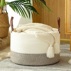 a dog laying on the floor next to a basket and potted palm tree in a living room