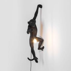 a monkey is hanging on the wall with a light in it's hand and its tail up