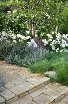 the garden is full of white flowers and green grass, with stone steps leading up to it