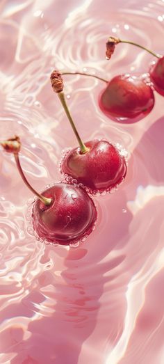 three cherries floating on top of water in a pink liquid filled body of water