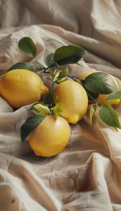 three lemons with green leaves on a cloth