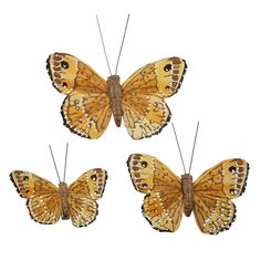 three butterflies are shown on a white background