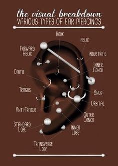 an ear diagram showing the various types of ear piercings and how to use them