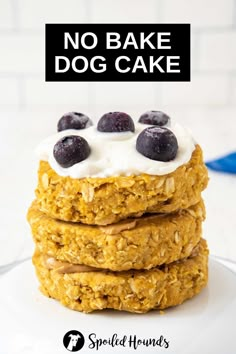 no bake dog cake on a white plate with blueberries and cream frosting