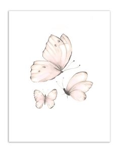 three white butterflies flying in the air with their wings spread out and one is on top of