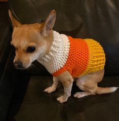 a small dog wearing a sweater on top of a couch