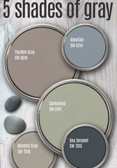 the five shades of gray paint