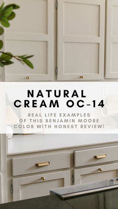 My Candid Review of Natural Cream OC-14 by Benjamin Moore Putty Cabinets, Nimbus Cabinets Benjamin Moore, Vapor Benjamin Moore, Revere Pewter Benjamin Moore Kitchen Cabinets, Plaster Of Paris Paint Benjamin Moore, Durango Benjamin Moore, Accessible Beige Vs Natural Cream, Nature's Essentials Benjamin Moore, Best Off White Paint For Furniture