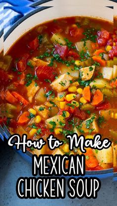 mexican chicken soup in a pot with the words how to make mexican chicken soup above it