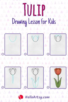 Step by step images showing a how to draw a tulip Draw Tulip, Draw A Tulip, Tulip Leaves, Perfect Drawing, Tulip Drawing