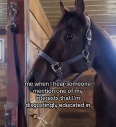 a brown horse standing next to a wooden wall with a quote on it's side