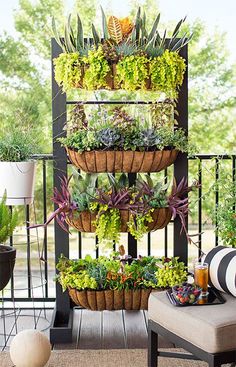 an outdoor patio with plants on it